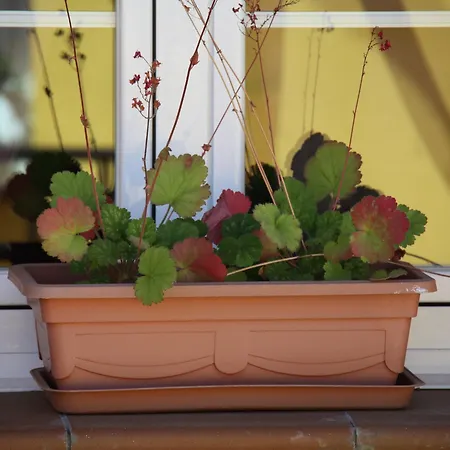 게스트하우스 Casa Candana La Candana de Curueno