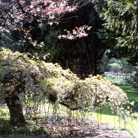 Casa Candana Pensión